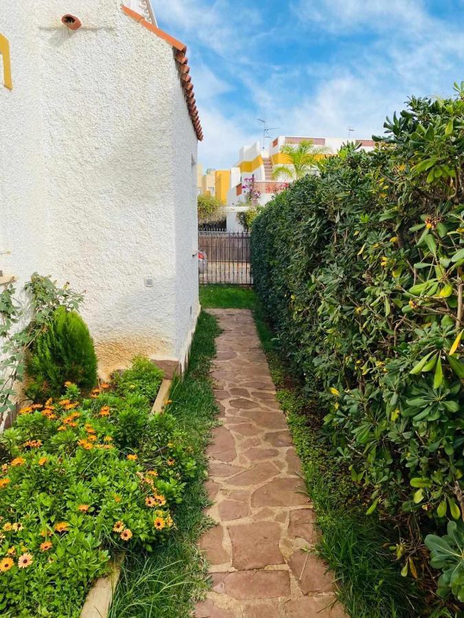Villa Paula Alcossebre Mar Y Montana Екстер'єр фото