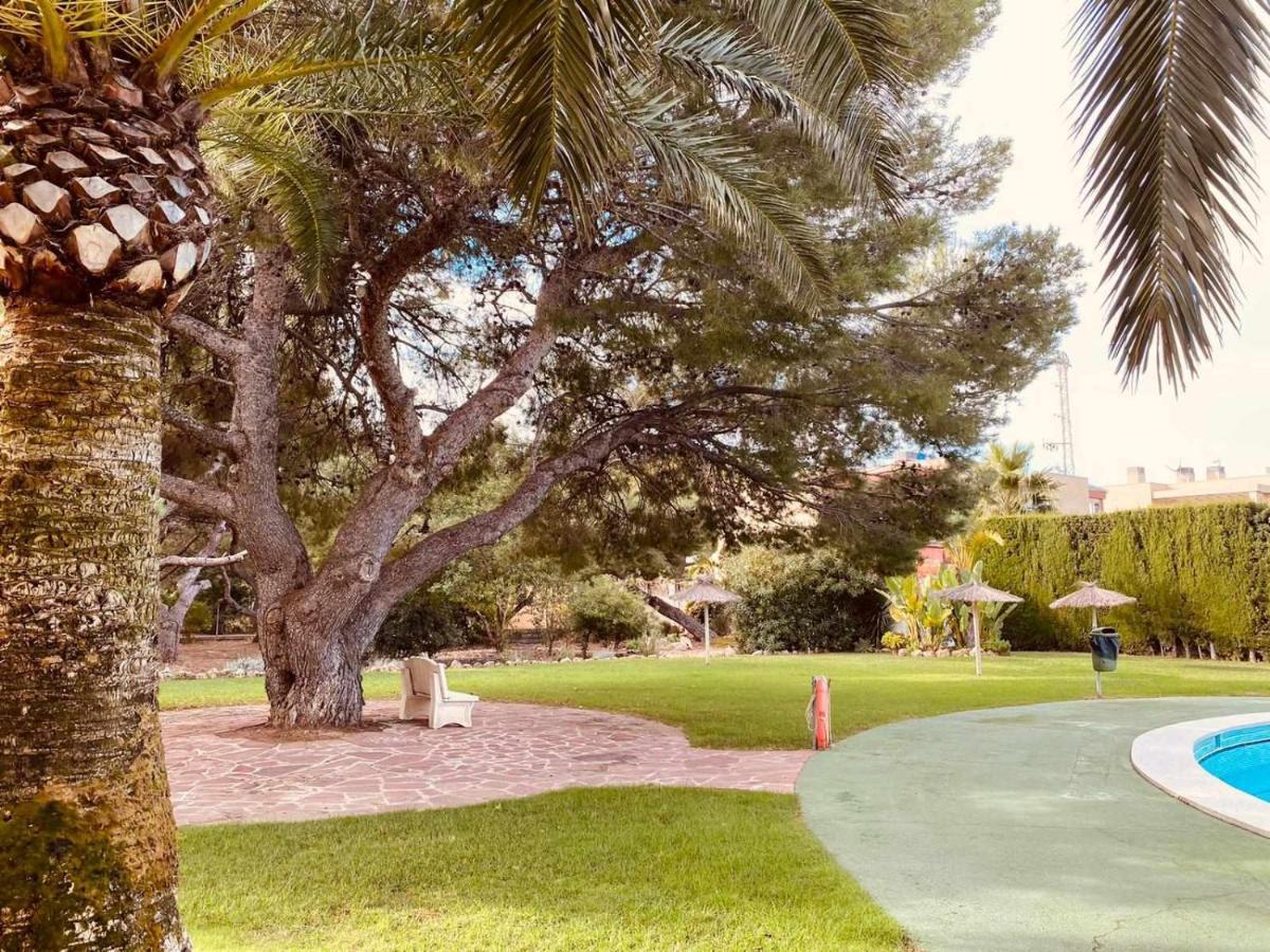 Villa Paula Alcossebre Mar Y Montana Екстер'єр фото